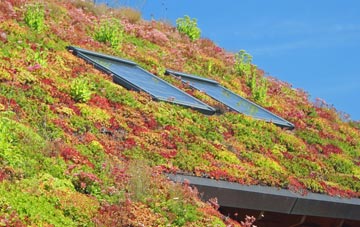 Venn Ottery living roof systems