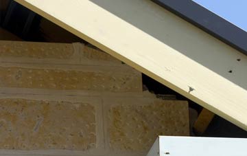 soffit repair Venn Ottery
